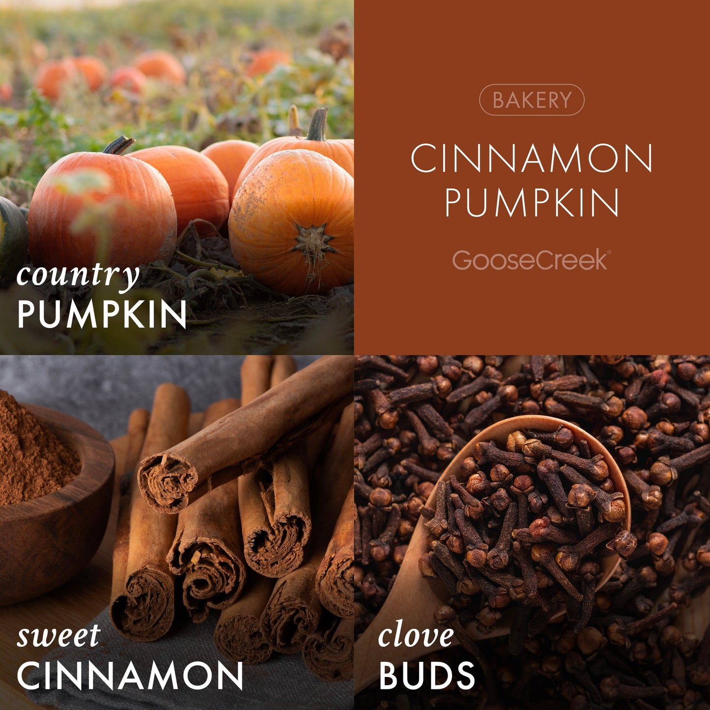 Cinnamon Pumpkin 3-Wick Candle